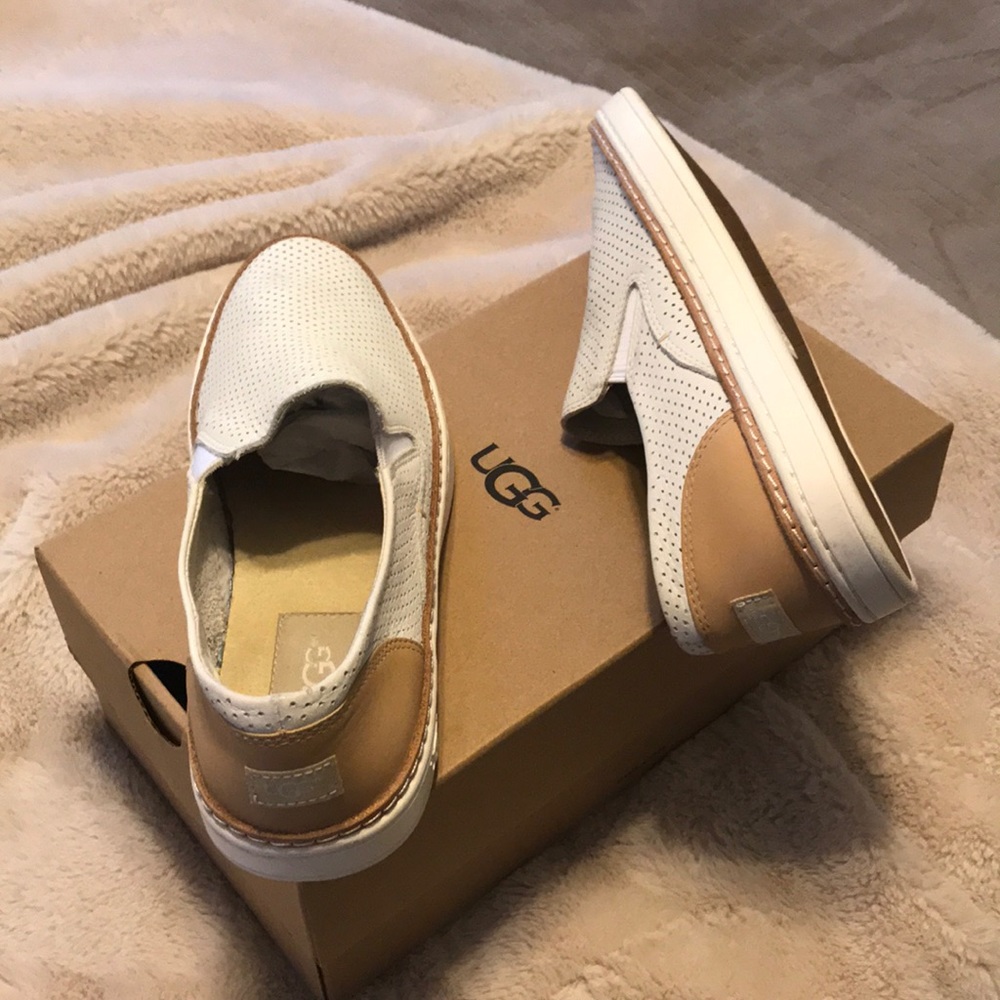 Ugg sneakers